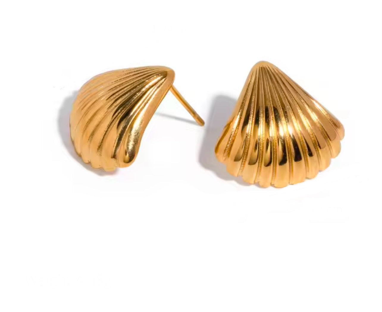 Seaside shell Earrings