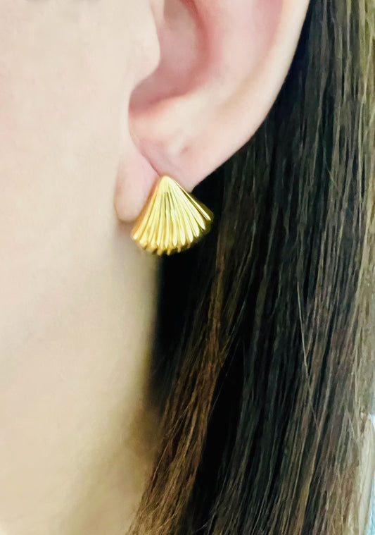 Seaside shell Earrings
