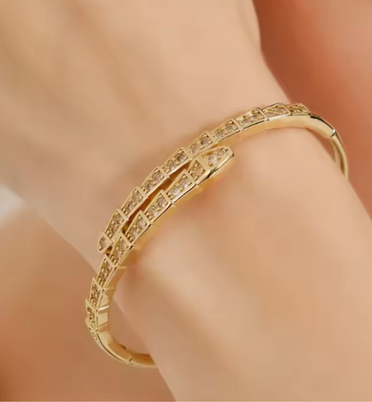 Snake bone, Gold & Zirconia